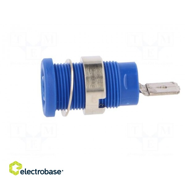 Socket | 4mm banana | 24A | blue | nickel plated | on panel,screw | 34mm image 3