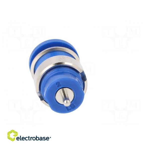Socket | 4mm banana | 24A | blue | nickel plated | screw,on panel image 5