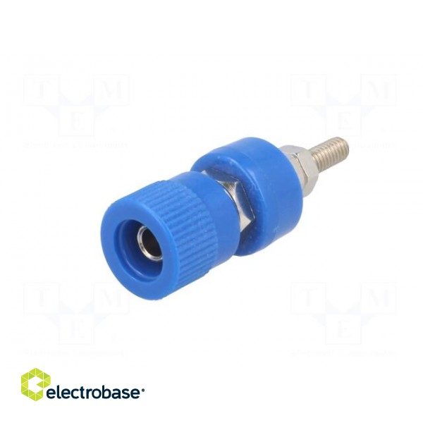 Socket | 4mm banana | 24A | blue | nickel plated | screw,on panel | 36mm image 2