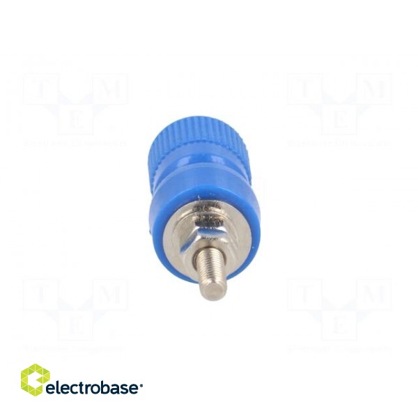 Socket | 4mm banana | 24A | blue | nickel plated | on panel,screw | 36mm image 5