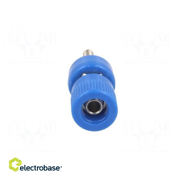 Socket | 4mm banana | 24A | blue | nickel plated | screw,on panel | 36mm image 9