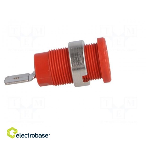 Socket | 4mm banana | 24A | red | nickel plated | screw,on panel | 34mm фото 7