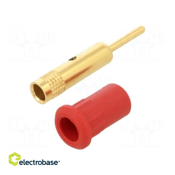 Socket | 4mm banana | 25A | 30VAC | 60VDC | red | gold-plated | on panel image 1