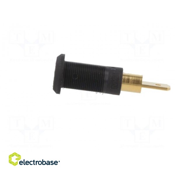 Socket | 4mm banana | 25A | black | gold-plated | Overall len: 30mm image 3