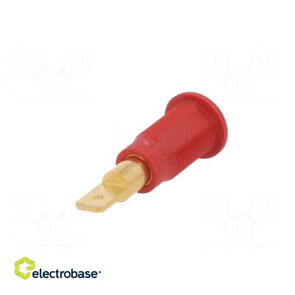 Socket | 4mm banana | 25A | red | gold-plated | Overall len: 30mm paveikslėlis 6