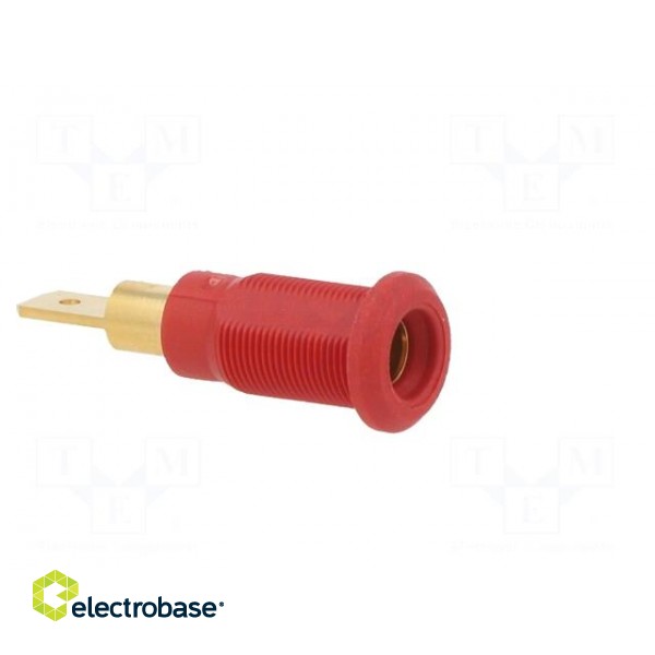 Socket | 4mm banana | 25A | red | gold-plated | Overall len: 30mm image 8