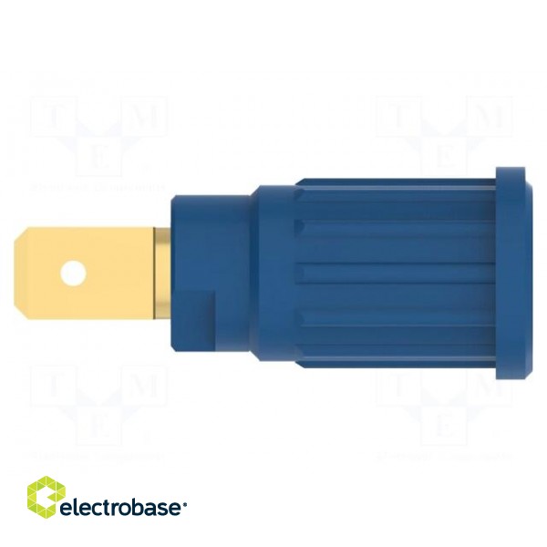 Socket | 4mm banana | 32A | 1kV | blue | gold-plated | on panel,push-in