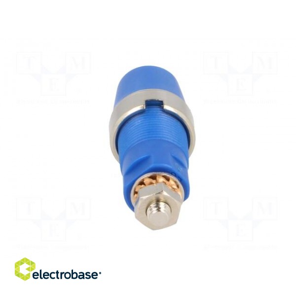 Socket | 4mm banana | 32A | 1kV | blue | nickel plated | screw | insulated image 5