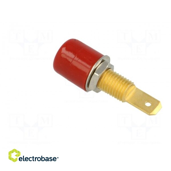 Socket | 4mm banana | 32A | 33VAC | 70VDC | red | gold-plated | -25÷80°C image 4