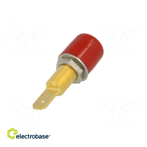 Socket | 4mm banana | 32A | 33VAC | 70VDC | red | gold-plated | -25÷80°C image 6