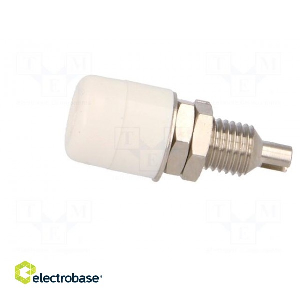 Socket | 4mm banana | 32A | 60VDC | white | nickel plated | insulated image 3