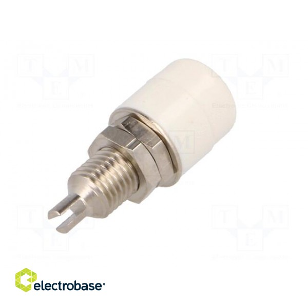 Socket | 4mm banana | 32A | 60VDC | white | nickel plated | insulated image 6