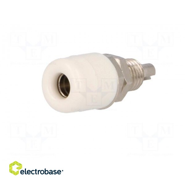Socket | 4mm banana | 32A | 60VDC | white | nickel plated | insulated image 2