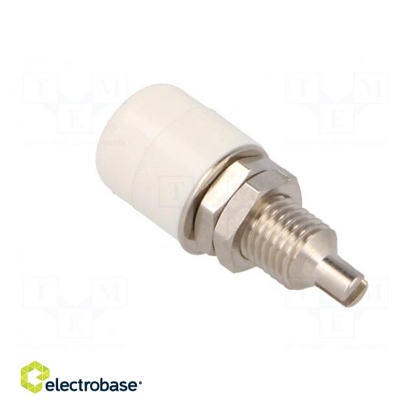 Socket | 4mm banana | 32A | 60VDC | white | nickel plated | insulated image 4