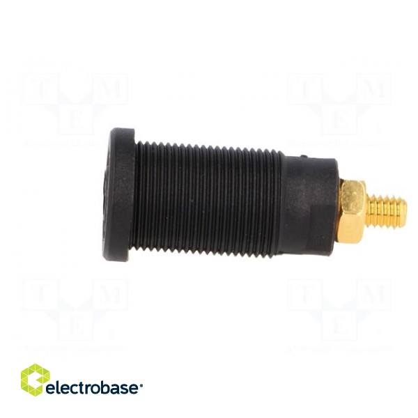 Socket | 4mm banana | 32A | black | gold-plated | screw,on panel | 32mm image 3