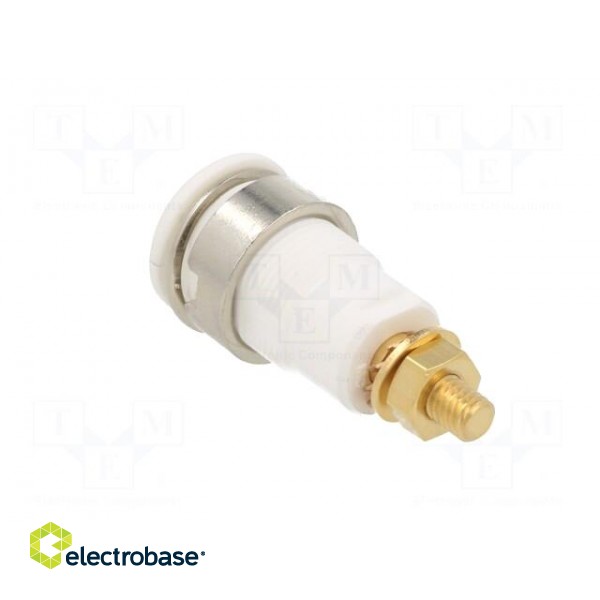 Socket | 4mm banana | 32A | grey | gold-plated | Overall len: 38.5mm image 4