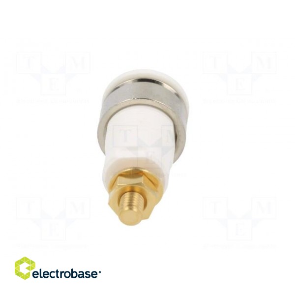 Socket | 4mm banana | 32A | grey | gold-plated | Overall len: 38.5mm image 5