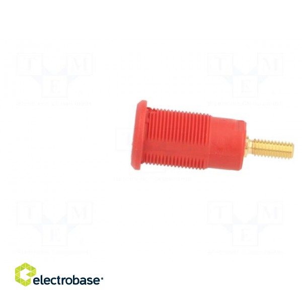 Socket | 4mm banana | 32A | red | gold-plated | Overall len: 33mm image 3