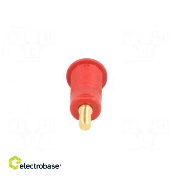 Socket | 4mm banana | 32A | red | gold-plated | Overall len: 33mm image 5