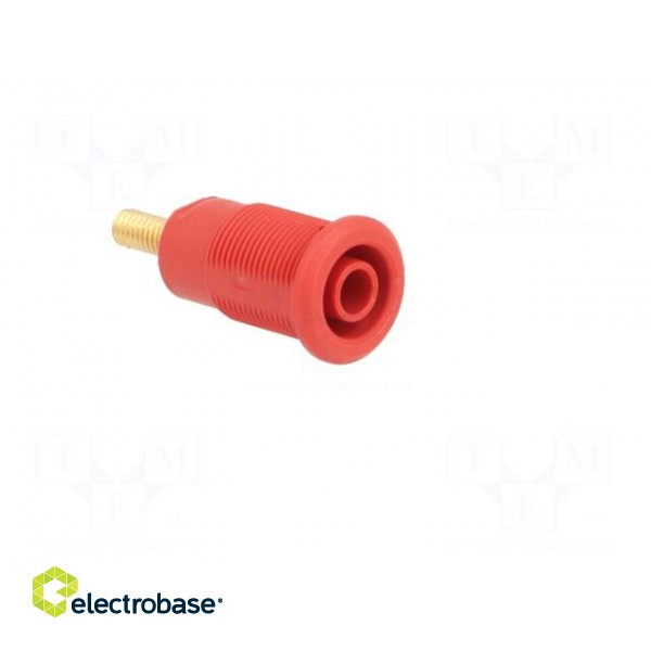 Socket | 4mm banana | 32A | red | gold-plated | Overall len: 33mm image 8