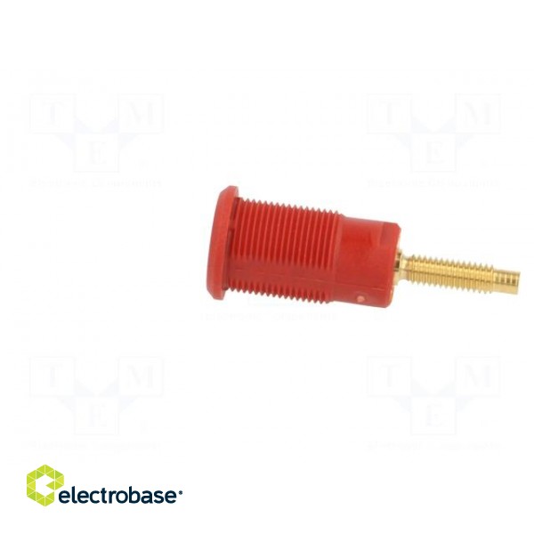 Socket | 4mm banana | 32A | red | gold-plated | Overall len: 38.5mm image 3