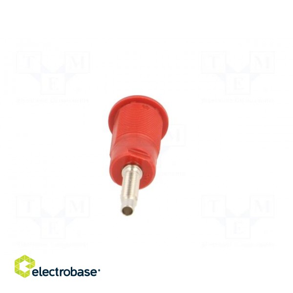 Socket | 4mm banana | 32A | red | nickel plated | Overall len: 38.5mm image 5