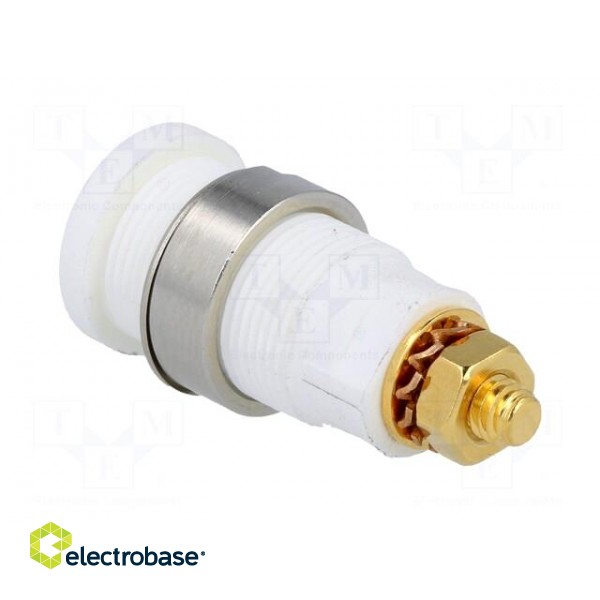 Socket | 4mm banana | 32A | white | gold-plated | screw,on panel | 32mm image 4