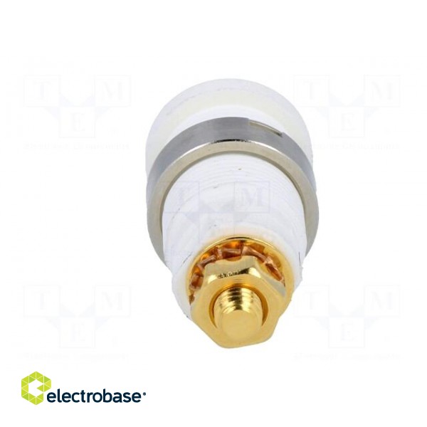 Socket | 4mm banana | 32A | white | gold-plated | screw,on panel | 32mm image 5