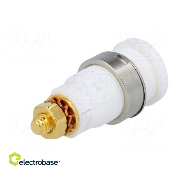 Socket | 4mm banana | 32A | white | gold-plated | screw,on panel | 32mm image 6