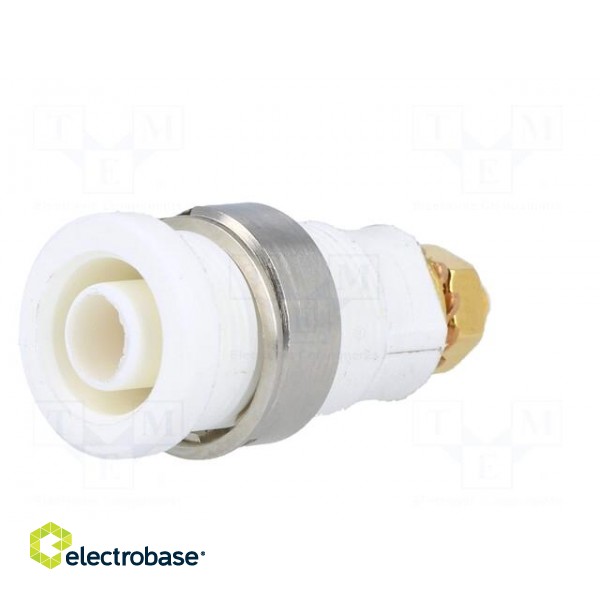 Socket | 4mm banana | 32A | white | gold-plated | screw,on panel | 32mm image 2