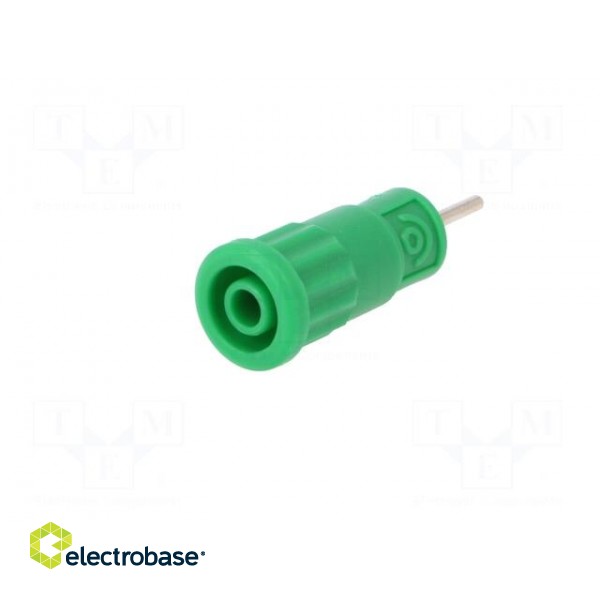 Connector: 4mm banana | socket | 36A | 1kV | green | on panel,push-in image 2