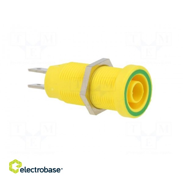Socket | 4mm banana | 37mm | yellow-green | nickel plated | brass | 20A image 8