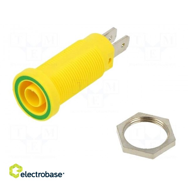 Socket | 4mm banana | 37mm | yellow-green | nickel plated | brass | 20A image 1
