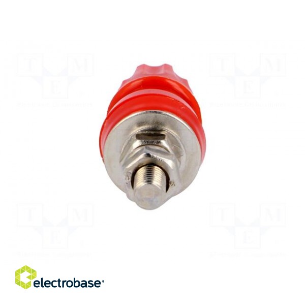 Socket | 4mm banana | 50A | 60VDC | red | screw | 57mm | Contacts: brass фото 5