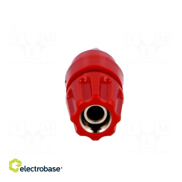 Socket | 4mm banana | 63A | 60VDC | Cutout: Ø9mm | red | screw | -25÷100°C paveikslėlis 9