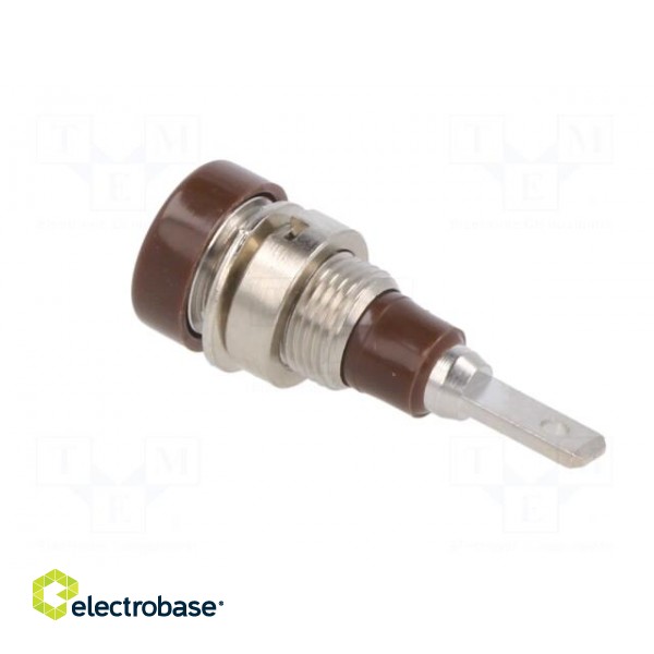 Socket | 2mm banana | 10A | 23mm | brown | soldered,on panel | insulated image 4