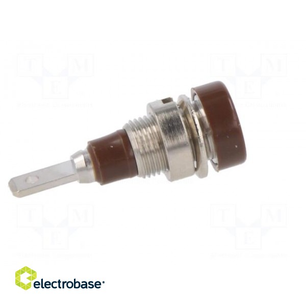 Socket | 2mm banana | 10A | 23mm | brown | soldered,on panel | insulated фото 7