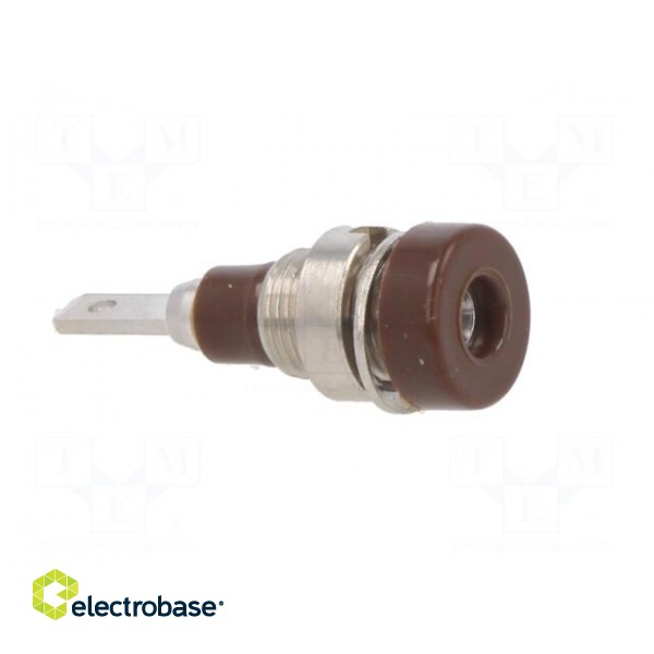 Socket | 2mm banana | 10A | 23mm | brown | soldered,on panel | insulated image 8
