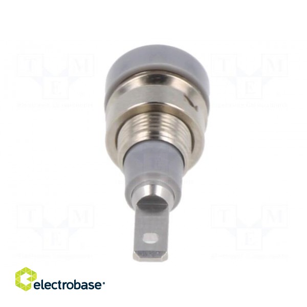 Socket | 2mm banana | 10A | 23mm | grey | soldered,on panel | insulated image 5