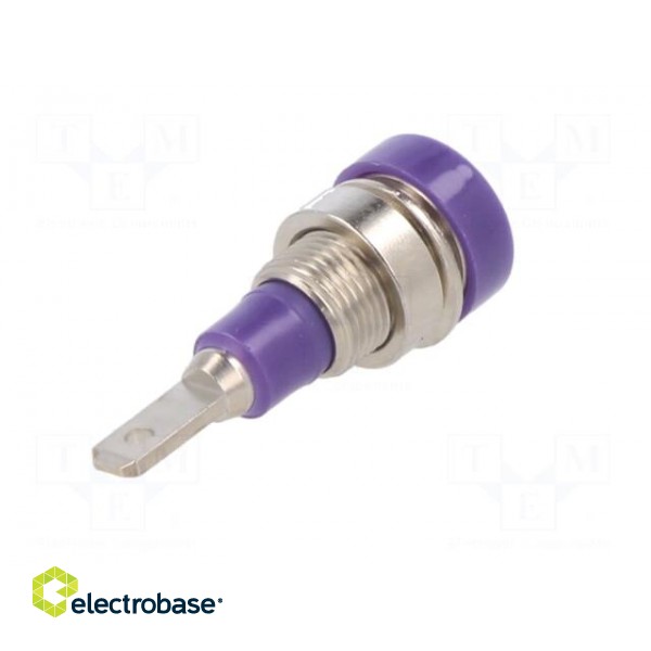 Socket | 2mm banana | 10A | 23mm | violet | soldered,on panel | SS2 image 6