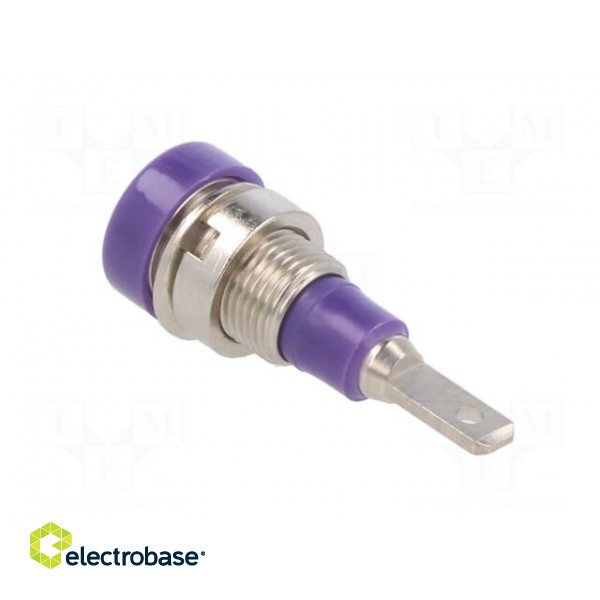 Socket | 2mm banana | 10A | 23mm | violet | soldered,on panel | SS2 фото 4