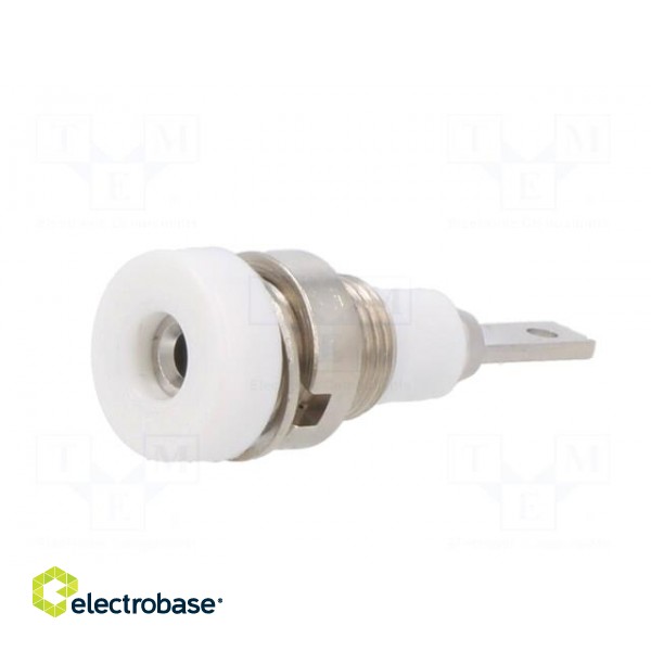 Socket | 2mm banana | 10A | 23mm | white | soldered,on panel | insulated image 2