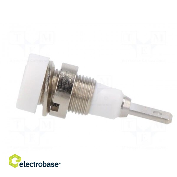 Socket | 2mm banana | 10A | 23mm | white | soldered,on panel | insulated image 3