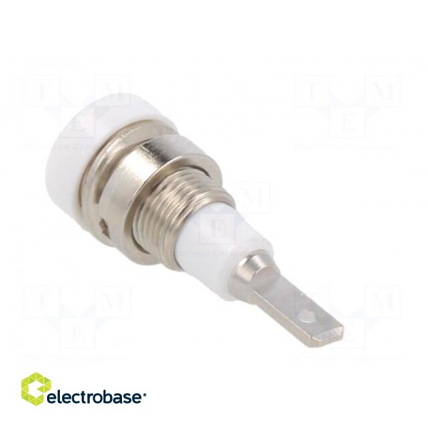 Socket | 2mm banana | 10A | 23mm | white | Mounting: soldered,on panel image 4