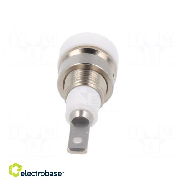 Socket | 2mm banana | 10A | 23mm | white | soldered,on panel | insulated image 5