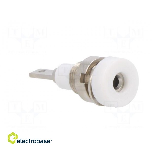 Socket | 2mm banana | 10A | 23mm | white | soldered,on panel | insulated image 8