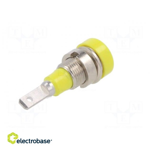 Socket | 2mm banana | 10A | 23mm | yellow-green | insulated | 60VDC paveikslėlis 6