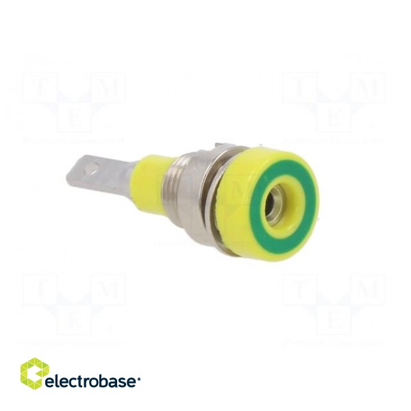 Socket | 2mm banana | 10A | 23mm | yellow-green | insulated | 60VDC paveikslėlis 8