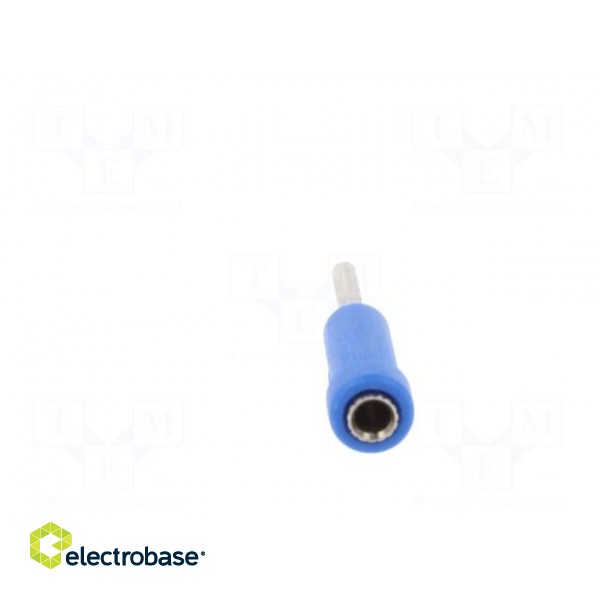Socket | 2mm banana | 10A | 70VDC | 24.5mm | blue | Mounting: on panel image 5
