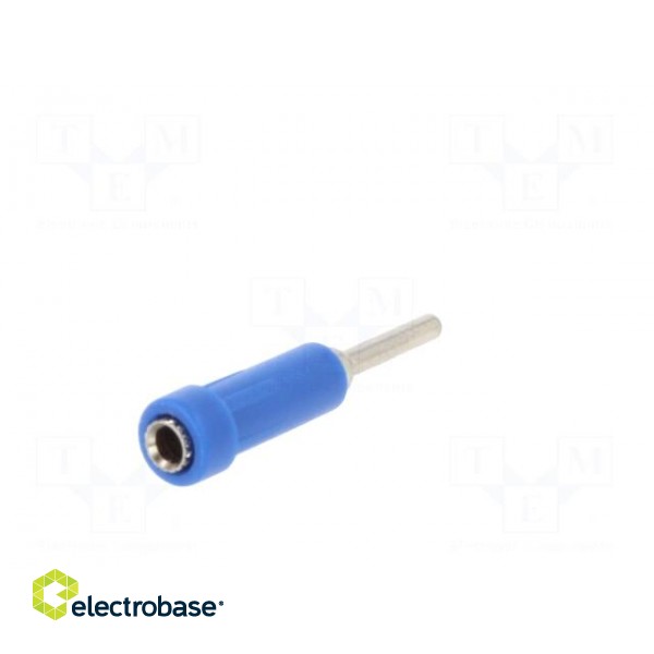 Socket | 2mm banana | 10A | 70VDC | 24.5mm | blue | Mounting: on panel image 6